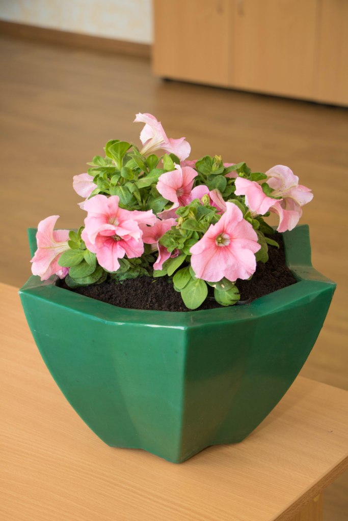 Вазон пластиковый. Собственное производство. Чистоград. Кашпо цветочное Лотос 350/450. Модель 2019  🍏 Каталог ранее выпускаемой завовом продукции  ⛲ — это Завод Чистовод, Минск — это септик автономной канализации «под ключ» в частном доме и на даче в Минске и по Беларуси, это канализация с гарантией, доставкой и рассрочкой   Каталог