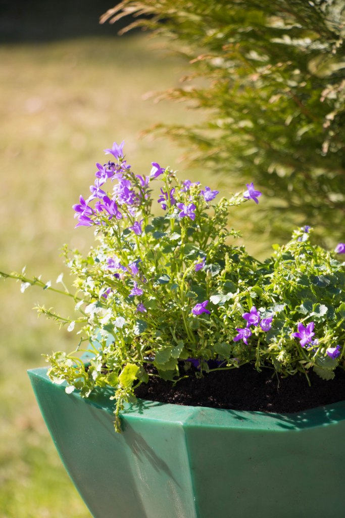 Вазон пластиковый. Собственное производство. Чистоград. Кашпо цветочное Лотос 350/450. Модель 2019  🍏 Каталог ранее выпускаемой завовом продукции  ⛲ — это Завод Чистовод, Минск — это септик автономной канализации «под ключ» в частном доме и на даче в Минске и по Беларуси, это канализация с гарантией, доставкой и рассрочкой   Каталог