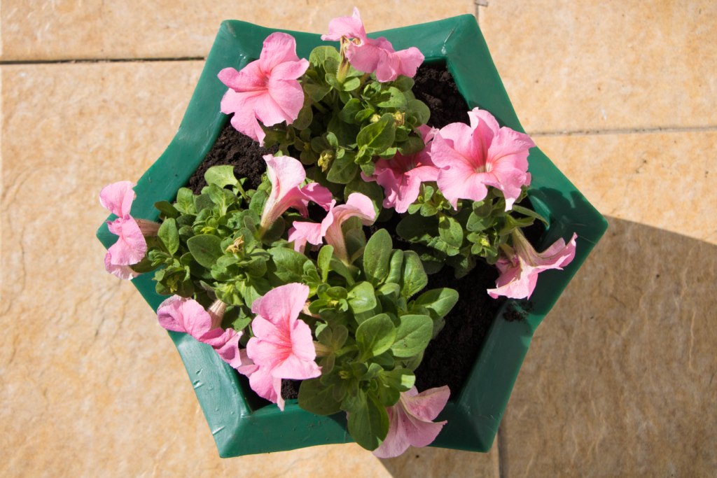 Вазон пластиковый. Собственное производство. Чистоград. Кашпо цветочное Лотос 350/450. Модель 2019  🍏 Каталог ранее выпускаемой завовом продукции  ⛲ — это Завод Чистовод, Минск — это септик автономной канализации «под ключ» в частном доме и на даче в Минске и по Беларуси, это канализация с гарантией, доставкой и рассрочкой   Каталог