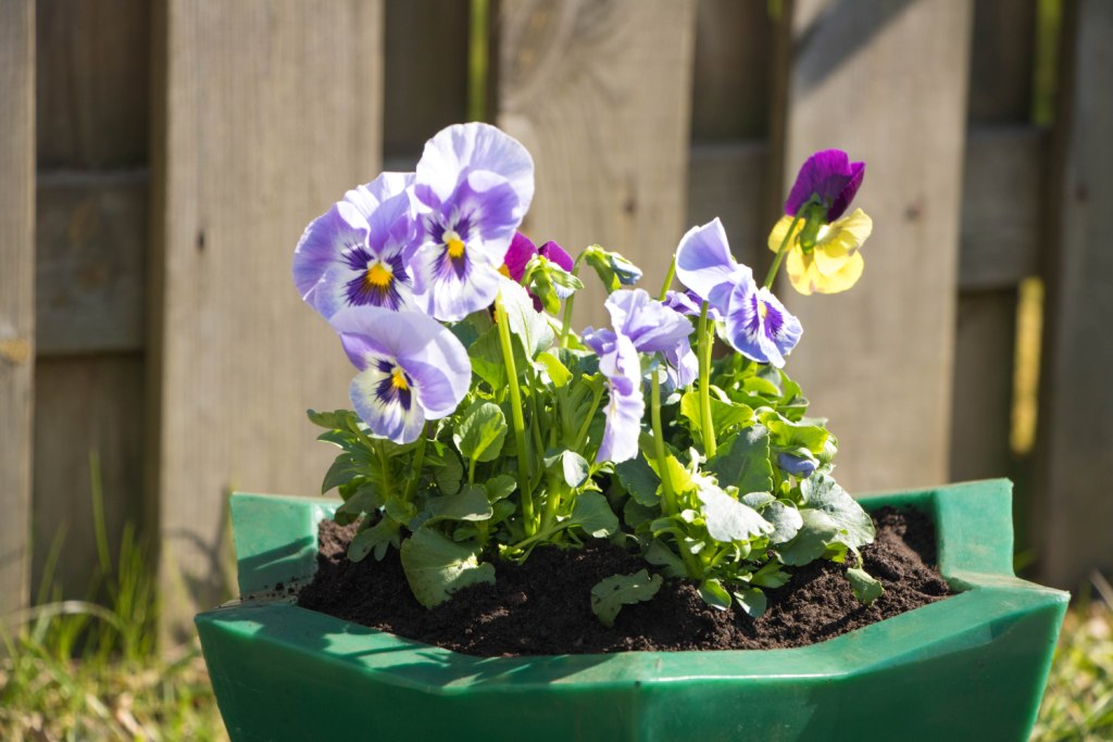 Вазон пластиковый. Собственное производство. Чистоград. Кашпо цветочное Лотос 350/450. Модель 2019  🍏 Каталог ранее выпускаемой завовом продукции  ⛲ — это Завод Чистовод, Минск — это септик автономной канализации «под ключ» в частном доме и на даче в Минске и по Беларуси, это канализация с гарантией, доставкой и рассрочкой   Каталог