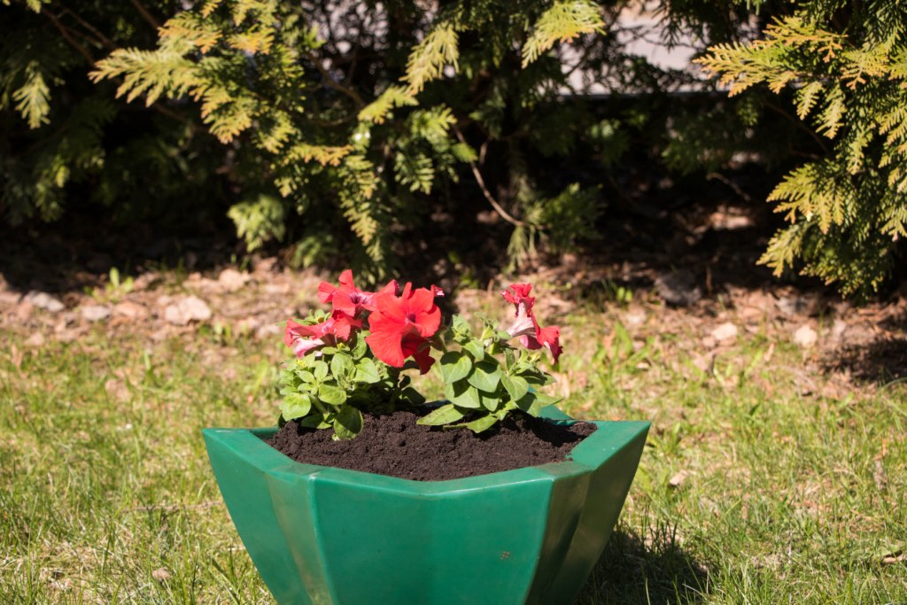 Вазон пластиковый. Собственное производство. Чистоград. Кашпо цветочное Лотос 350/450. Модель 2019  🍏 Каталог ранее выпускаемой завовом продукции  ⛲ — это Завод Чистовод, Минск — это септик автономной канализации «под ключ» в частном доме и на даче в Минске и по Беларуси, это канализация с гарантией, доставкой и рассрочкой   Каталог