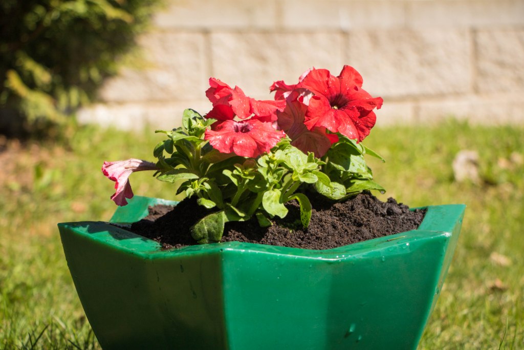 Вазон пластиковый. Собственное производство. Чистоград. Кашпо цветочное Лотос 350/450. Модель 2019  🍏 Каталог ранее выпускаемой завовом продукции  ⛲ — это Завод Чистовод, Минск — это септик автономной канализации «под ключ» в частном доме и на даче в Минске и по Беларуси, это канализация с гарантией, доставкой и рассрочкой   Каталог